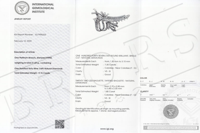 Diamant Brosche 169 Diamanten 9,15 ct F-G VS-SI 950 Platin IGI [BRORS 10669]