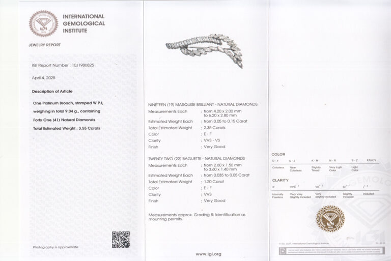 Brosche 41 Diamanten ca. 3,55 ct River-TW 950 Platin IGI Gutachten [BRORS 20237]