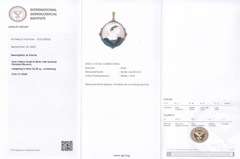 Kamee Brosche Anhänger Silber Gold Emaille IGI Gutachten [BRORS 20464]