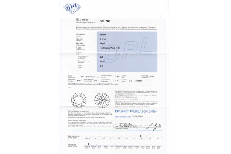 Ring Schneeflocke 25 Brillanten ca. 1,14 ct River-TW 750 Weißgold [BRORS 20515]