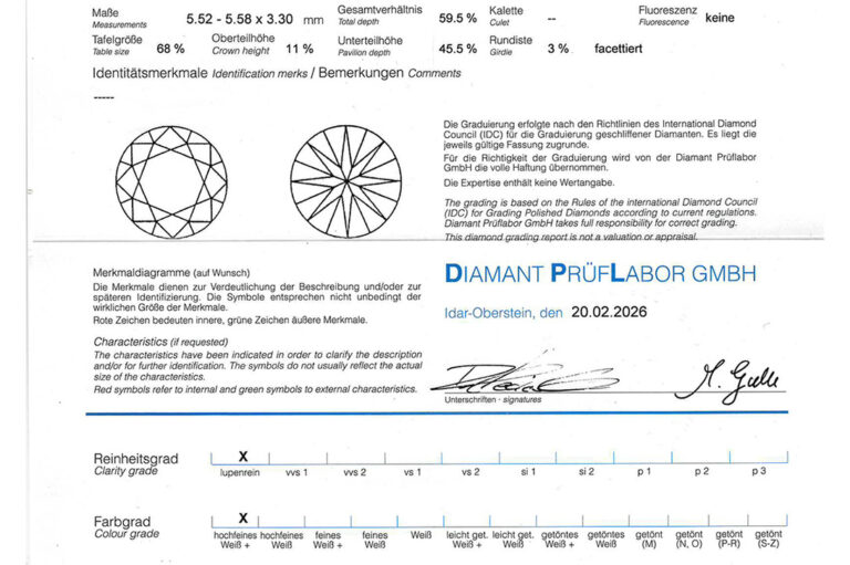 Ring 1 Brillant 0,61 ct RIVER/IF + Brillanten 750 Gold DPL Gr. 53 [BRORS 20718]